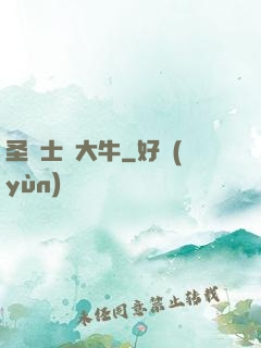 圣騎士趙大牛