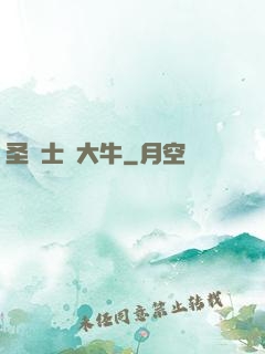 圣騎士趙大牛