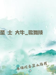 圣騎士趙大牛