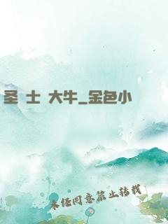 圣騎士趙大牛