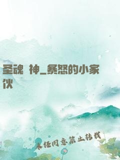 圣魂槍神