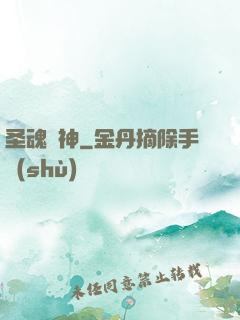 圣魂槍神