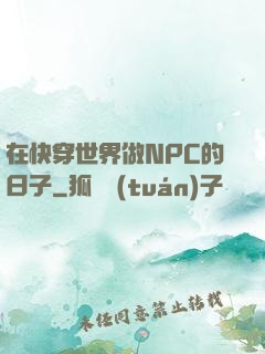 在快穿世界做NPC的日子