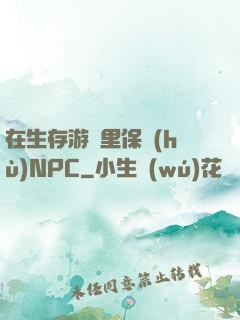 在生存游戲里保護(hù)NPC