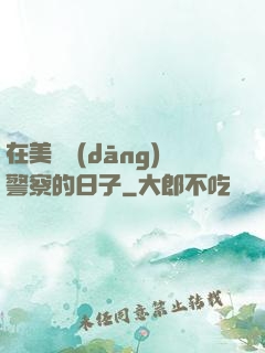在美國當(dāng)警察的日子