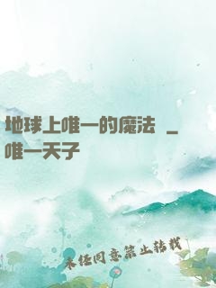 地球上唯一的魔法師