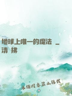 地球上唯一的魔法師