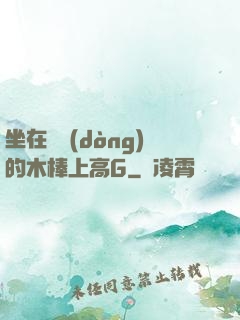 坐在電動(dòng)的木棒上高G