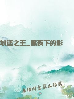 城堡之王