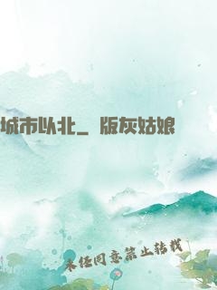 城市以北