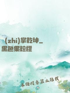 執(zhí)掌乾坤