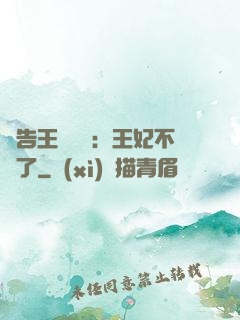 報告王爺將軍：王妃不見了