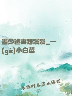 墨少追妻路漫漫