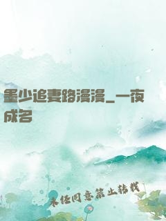 墨少追妻路漫漫