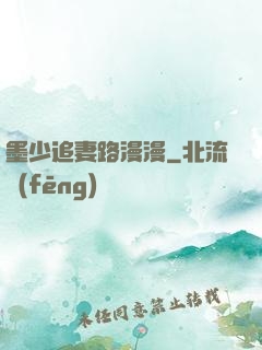 墨少追妻路漫漫