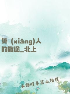 外鄉(xiāng)人的旅途