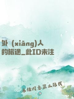 外鄉(xiāng)人的旅途