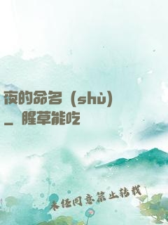 夜的命名術(shù)