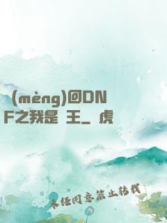 夢(mèng)回DNF之我是槍王