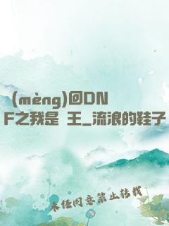夢(mèng)回DNF之我是槍王