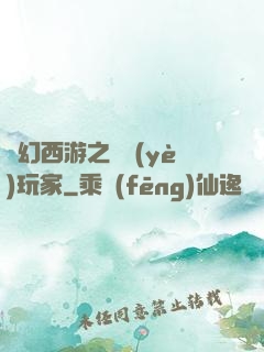 夢幻西游之職業(yè)玩家