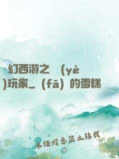 夢幻西游之職業(yè)玩家