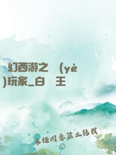 夢幻西游之職業(yè)玩家
