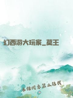 夢幻西游大玩家