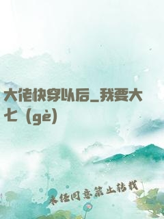 大佬快穿以后