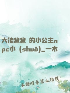 大佬爸爸們的小公主npc小說(shuō)