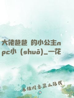 大佬爸爸們的小公主npc小說(shuō)