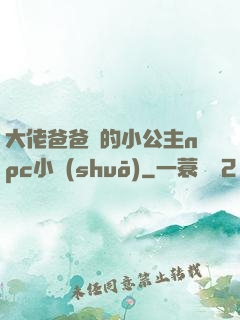 大佬爸爸們的小公主npc小說(shuō)