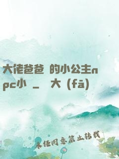 大佬爸爸們的小公主npc小說