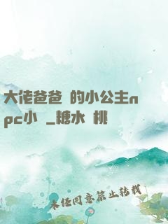 大佬爸爸們的小公主npc小說