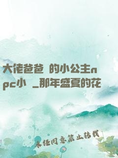 大佬爸爸們的小公主npc小說