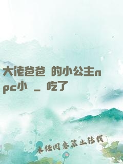 大佬爸爸們的小公主npc小說
