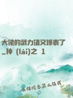大佬的武力值又爆表了