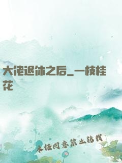 大佬退休之后