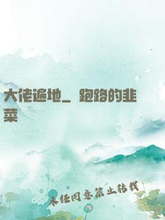 大佬遍地