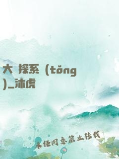 大偵探系統(tǒng)