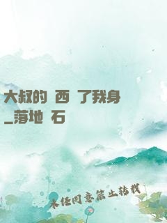 大叔的東西進了我身體