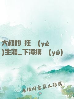 大叔的瘋狂職業(yè)生涯