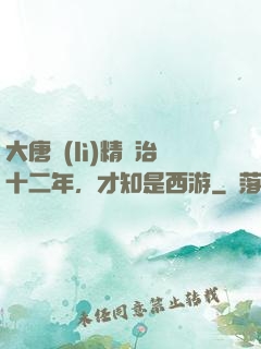 大唐勵(lì)精圖治十二年，才知是西游