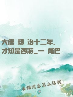 大唐勵精圖治十二年，才知是西游