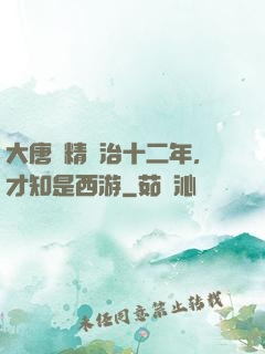大唐勵精圖治十二年，才知是西游