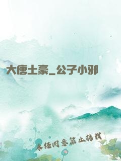 大唐土豪