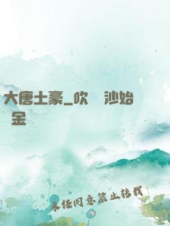 大唐土豪