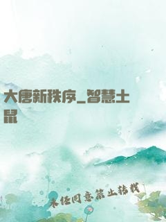 大唐新秩序