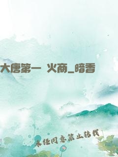 大唐第一軍火商