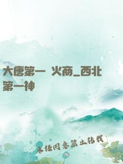 大唐第一軍火商
